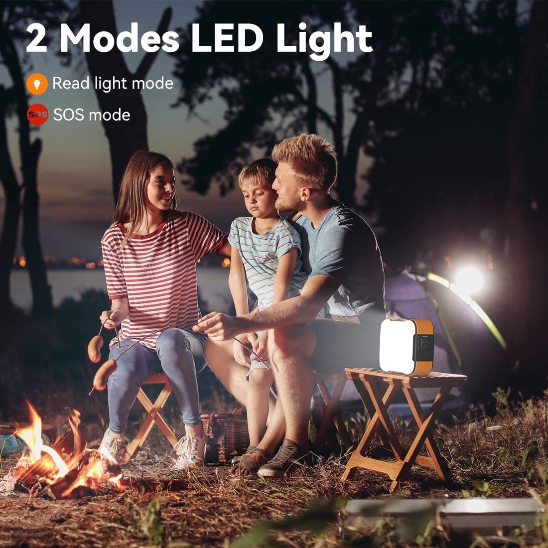 120W Portable Power Station